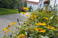 20170910_120110