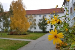 20171014_171318