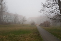 20180110_160630