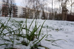 20180116_094122