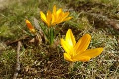 20180321_123110
