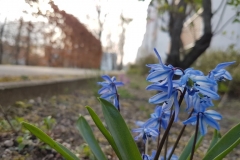 20180409_181659