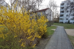 20180409_181928