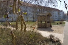20180410_112747