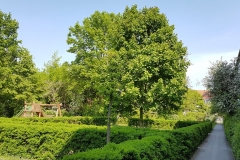 20180430_114106