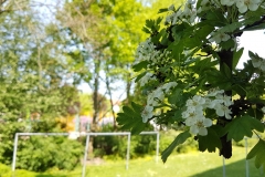 20180430_114138