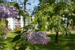 20180430_114620