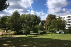IMG-20170910-WA0001