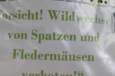 WhatsApp-Image-2026-08-11-at-12.24.11