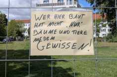 WhatsApp-Image-2026-08-11-at-12.24.13-2