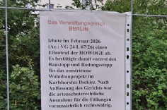 signal-2026-08-10-08-08-17-565_002